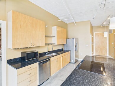 Printer's Lofts unit 507, Saint Louis, MO 63103 - photo 7
