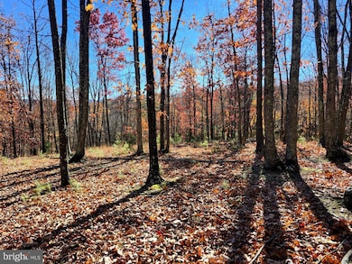 176 Rendezvous Rd, Delray, WV 26801 - photo 7