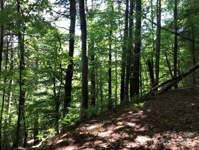 000 N Blue Ridge Pkwy E unit 167, Jefferson, NC 28640 - photo 3