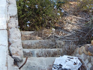 Concrete stairs leading down to the shed structure and canyon lot.