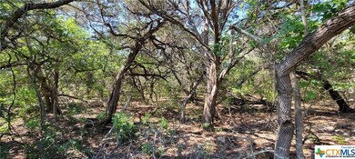 6110 Cliff Ln, Temple, TX 76502 - photo 6