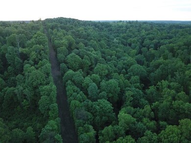 DJI_0037 (Small)