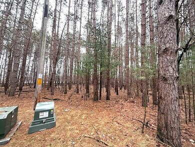 0 Lake St unit 50304618, Waupaca, WI 54981 - photo 2