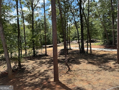 40 Tomahawk Trail, Martin, GA 30557 - photo 7