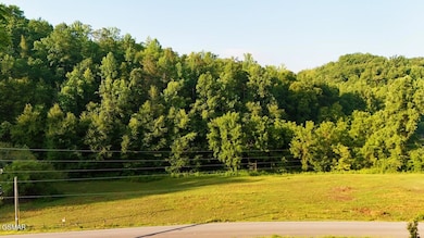 2359 Grassy Branch Rd, Sevierville, TN 37876 - photo 4