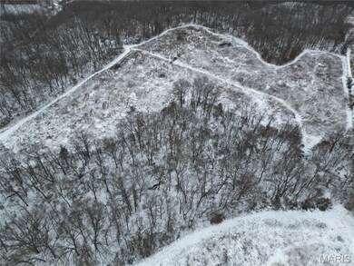 1965 Stringtown Rd, Shoal Creek Township, IL 62086 - photo 6