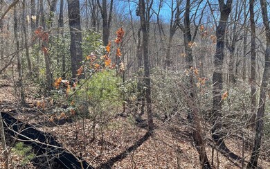 Lot 9 Wolfpen Gap, Hiawassee, GA 30546 - photo 5