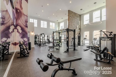 3110 Doe River Way unit Chadwick, Matthews, NC 28105 - photo 7