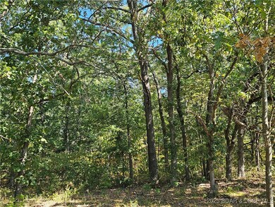 Tract D Beechnut Rd, Buffalo Township, MO 65078 - photo 4