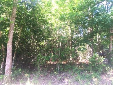 551 Colbert St, Mandeville, LA 70448 - photo 5