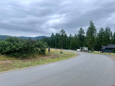 470 Edgemont Meadows Rd, Durango, CO 81301 - photo 5