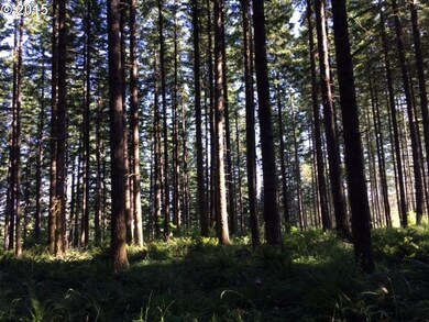 16876 S Boyles Rd, Molalla, OR 97038 - photo 2