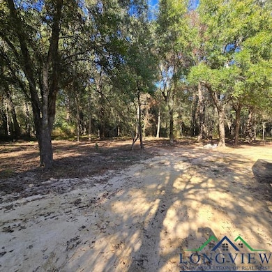 1975 Cr 2074, Hull, TX 77564 - photo 2