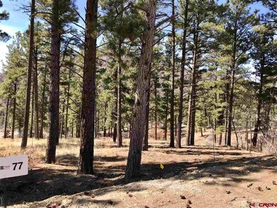 0 Bell Flower Ct unit 768245, Durango, CO 81301 - photo 3