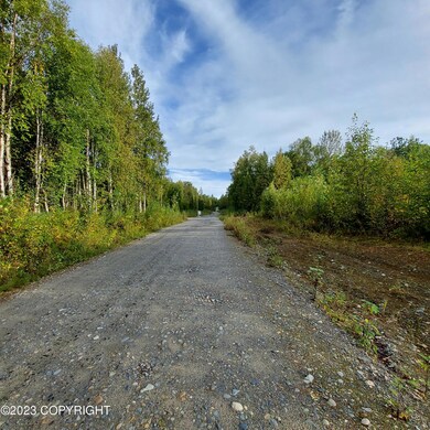 L1 S Clara Cir, Talkeetna, AK 99676 - photo 4