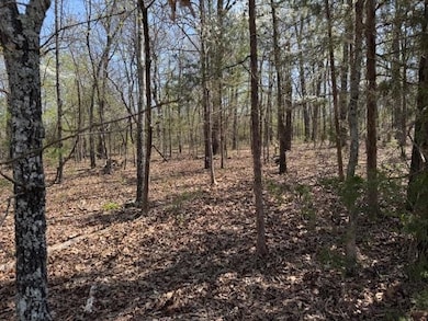 410 N Sequoia Dr, Horseshoe Bend, AR 72512 - photo 3