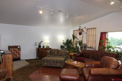 295 NW 10th St, Cedaredge, CO 81413 - photo 6