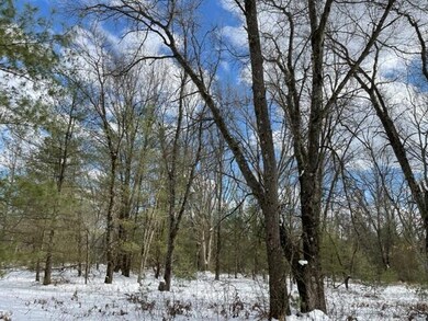 0 10 + - Acres Beaver Rd unit 22007967, Bitely, MI 49309 - photo 6