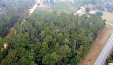 0 Opp Hwy, Dozier, AL 36028 - photo 6