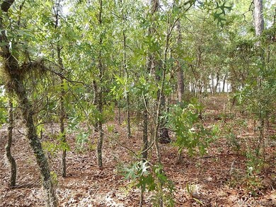 Internal Shot Northward