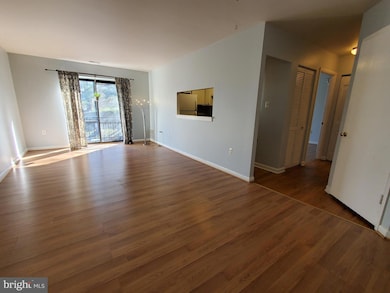 609 Hudson Ave, Takoma Park, MD 20912 - photo 3