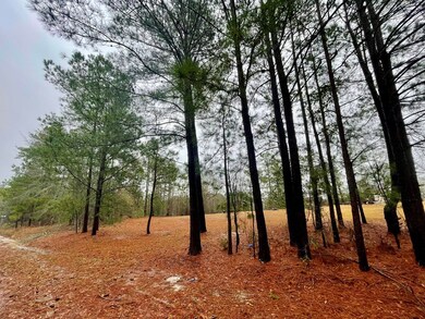 0 S Monroe St, Sylvester, GA 31791 - photo 5