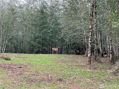 295 Oak Point Rd, Longview, WA 98632 - photo 7