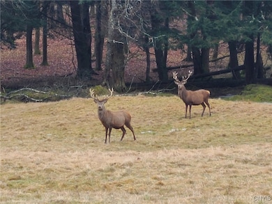 213 Button Rd, West Edmeston, NY 13485 - photo 6