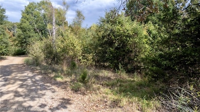 TBD Pryor Ave, Pocola, OK 74902 - photo 3