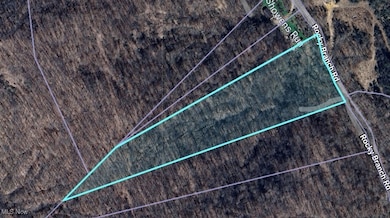 1247 Rocky Branch Rd, Linden, WV 25259 - photo 7