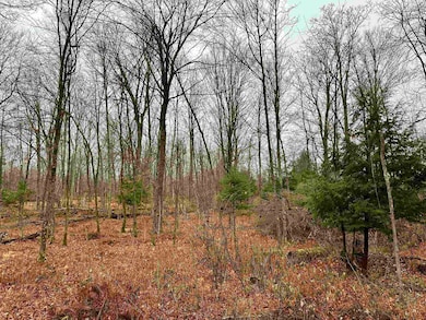Lot 61 Chip n Dale Dr, Pickerel, WI 54465 - photo 4