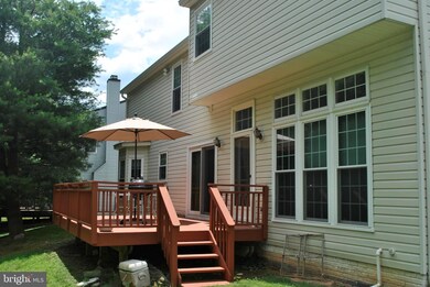 6305 Wood Pointe Dr unit LOWER LEVEL, Glenn Dale, MD 20769 - photo 6