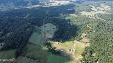 557 Carrol Greenlee Rd, Rutledge, TN 37861 - photo 5