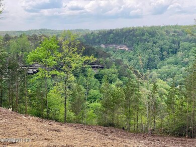 Bluff Views