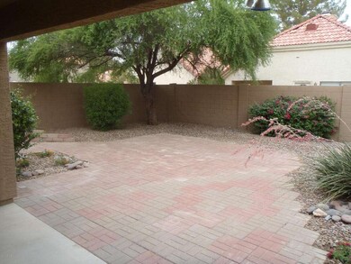 Rear Yard
