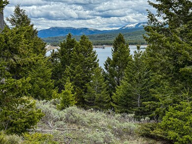 TBD (5.37+/- acres) Gold Coin Ln, Anaconda, MT 59711 - photo 4