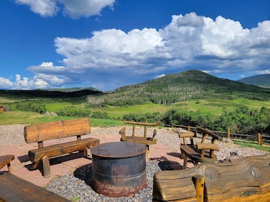 6645 64 6 10 Rd, Collbran, CO 81624 - photo 4