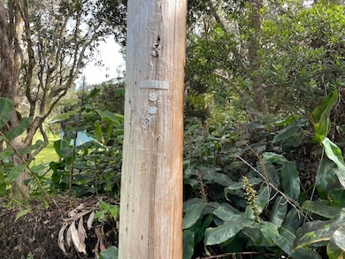 0 3rd St unit 725812, Volcano, HI 96785 - photo 7