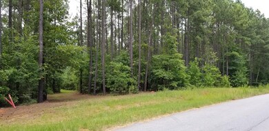 Lot 30 & Savannah Ridge Rd, Lincolnton, GA 30817 - photo 7