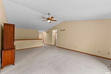 2009 Villa Pines Cir unit 5, Carbon Cliff, IL 61239 - photo 3