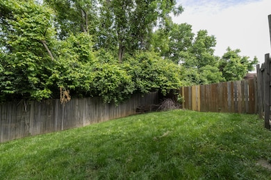Redbud-8