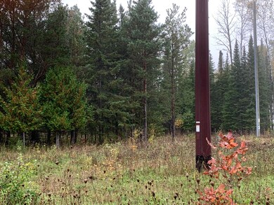 POWER LINE
