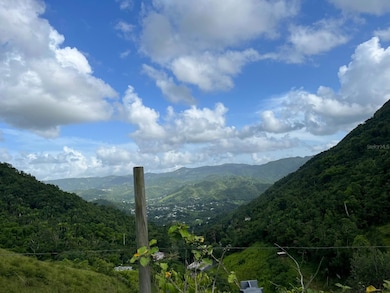 0 Bo Honduras unit MFRPR9117430, Cidra, PR 00739 - photo 2