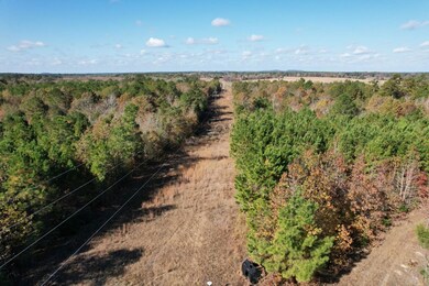 Tbd Fm 1650, Gilmer, TX 75645 - photo 7