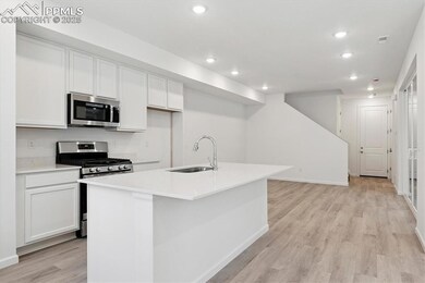 2450 Serviceberry Grove, Colorado Springs, CO 80915 - photo 4