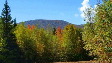 View of the New Vineyard Mountains...