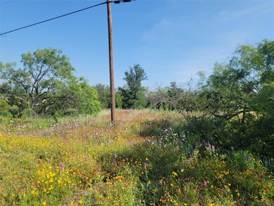 TBD County Road 551, Lake Brownwood, TX 76801 - photo 6