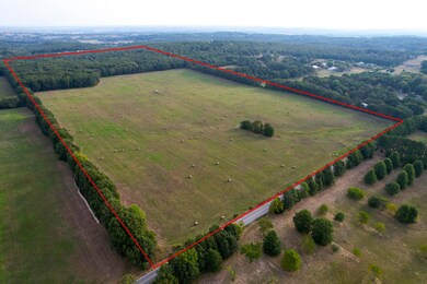 000 E Farm Road 68 unit Parcel 3, Strafford, MO 65757 - photo 3