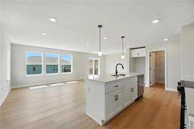 1321 S 4th E, Louisburg, KS 66053 - photo 4