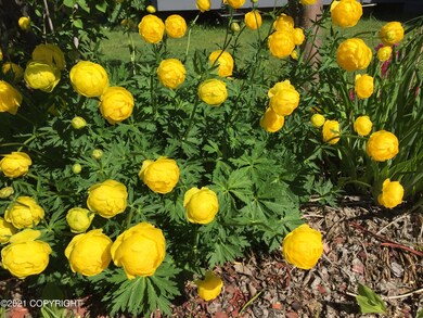More and more flowers